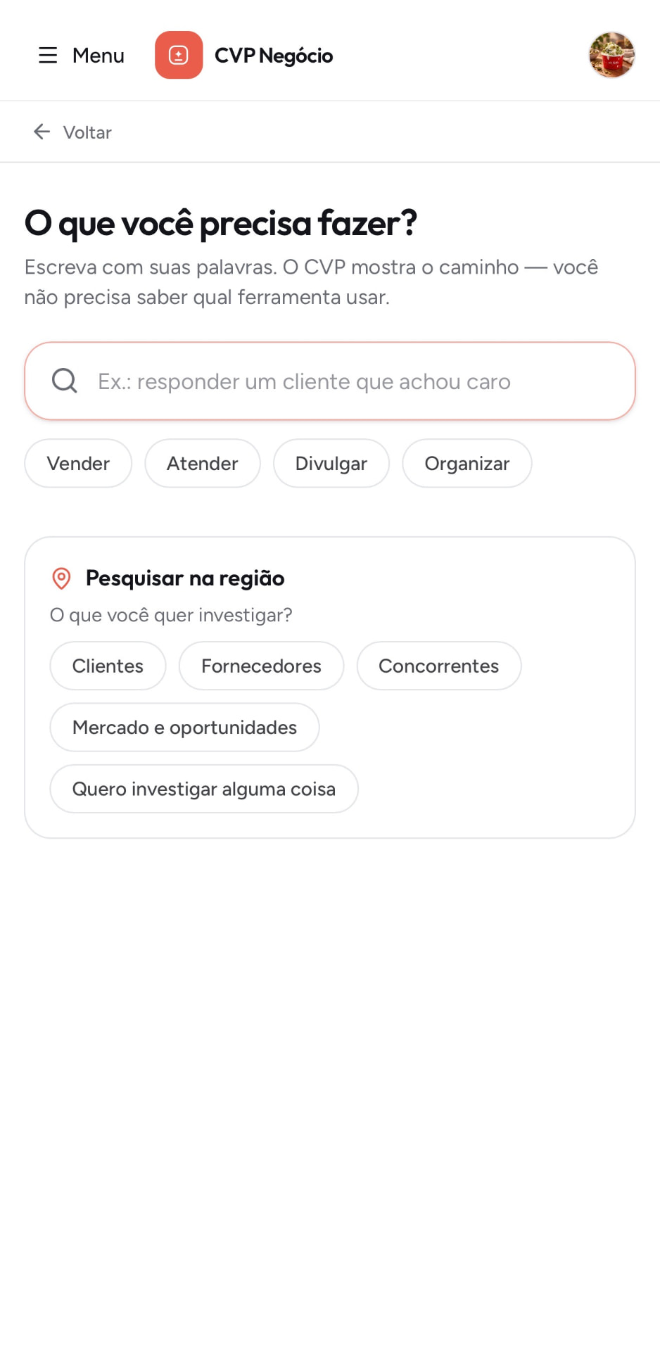 Busca do CVP Negócio: escreva o que precisa fazer